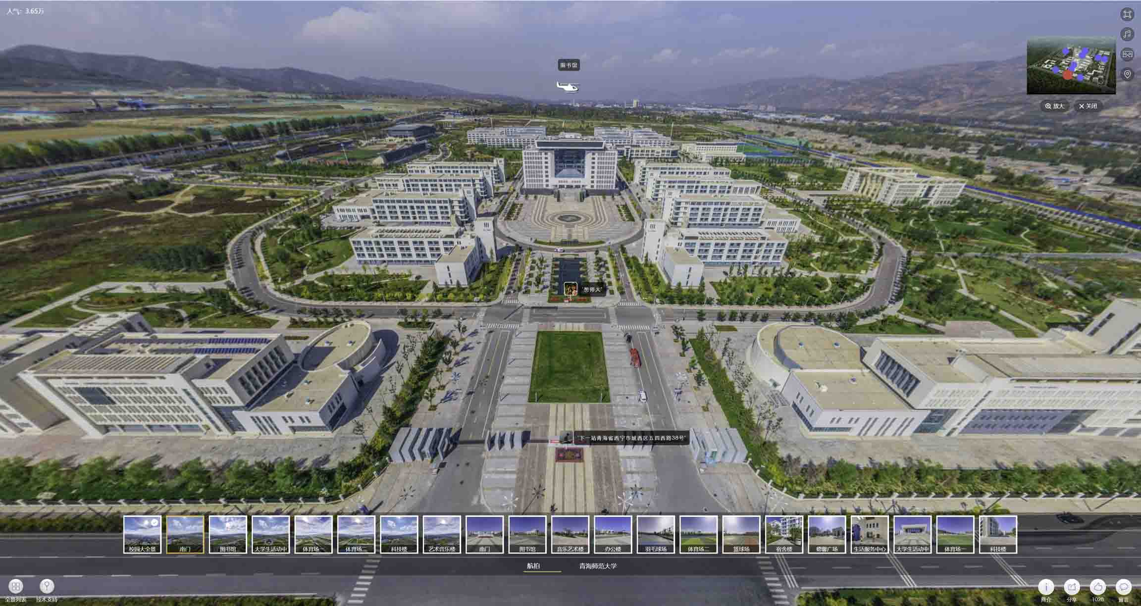 子长油菜花-惊艳半生的花海仙境